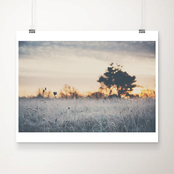 Winter Sunrise Tree Print, English Farmhouse Decor