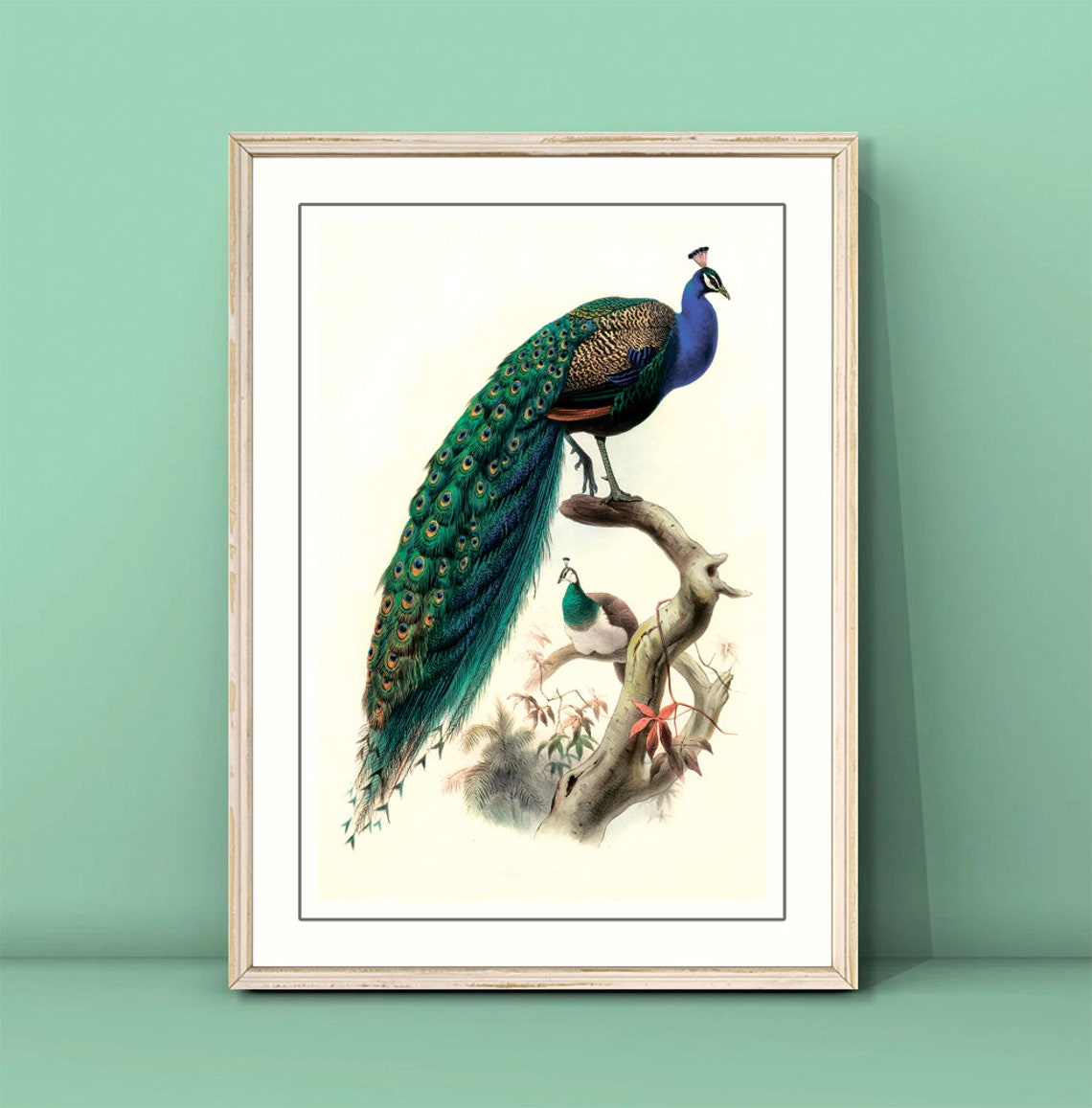 Vintage Peacock Perched on Branch Bird Art Poster Vintage Wall Decor