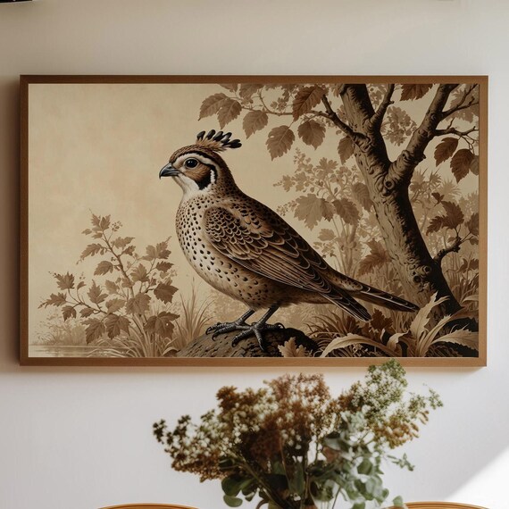 Sepia Quail Bird Portrait Vintage Natural History Style Art Poster