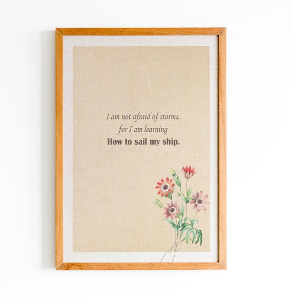 I Am Not Afraid Of Storms Louisa May Alcott Quote Book Lovers Gift Literary Quote Inspirational Quote
