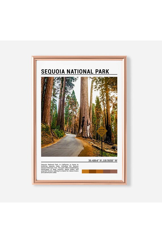 Sequoia National Park Giant Redwood Forest Road Scenic Travel Poster
