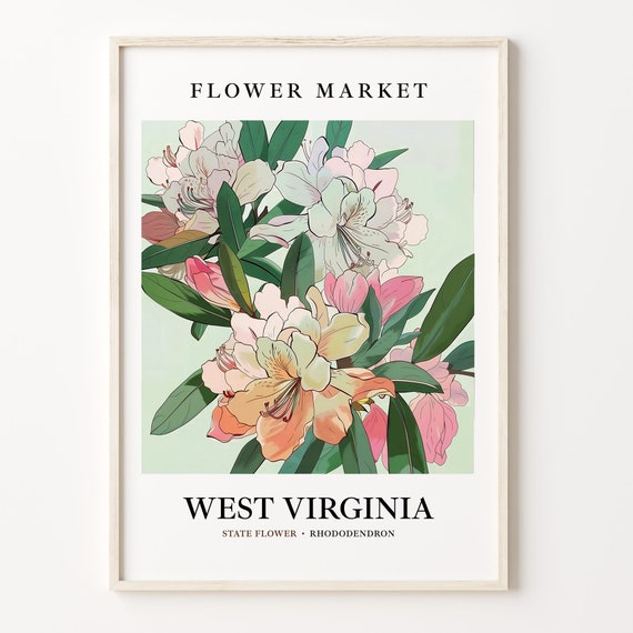 West Virginia Rhododendron Botanical Art Print