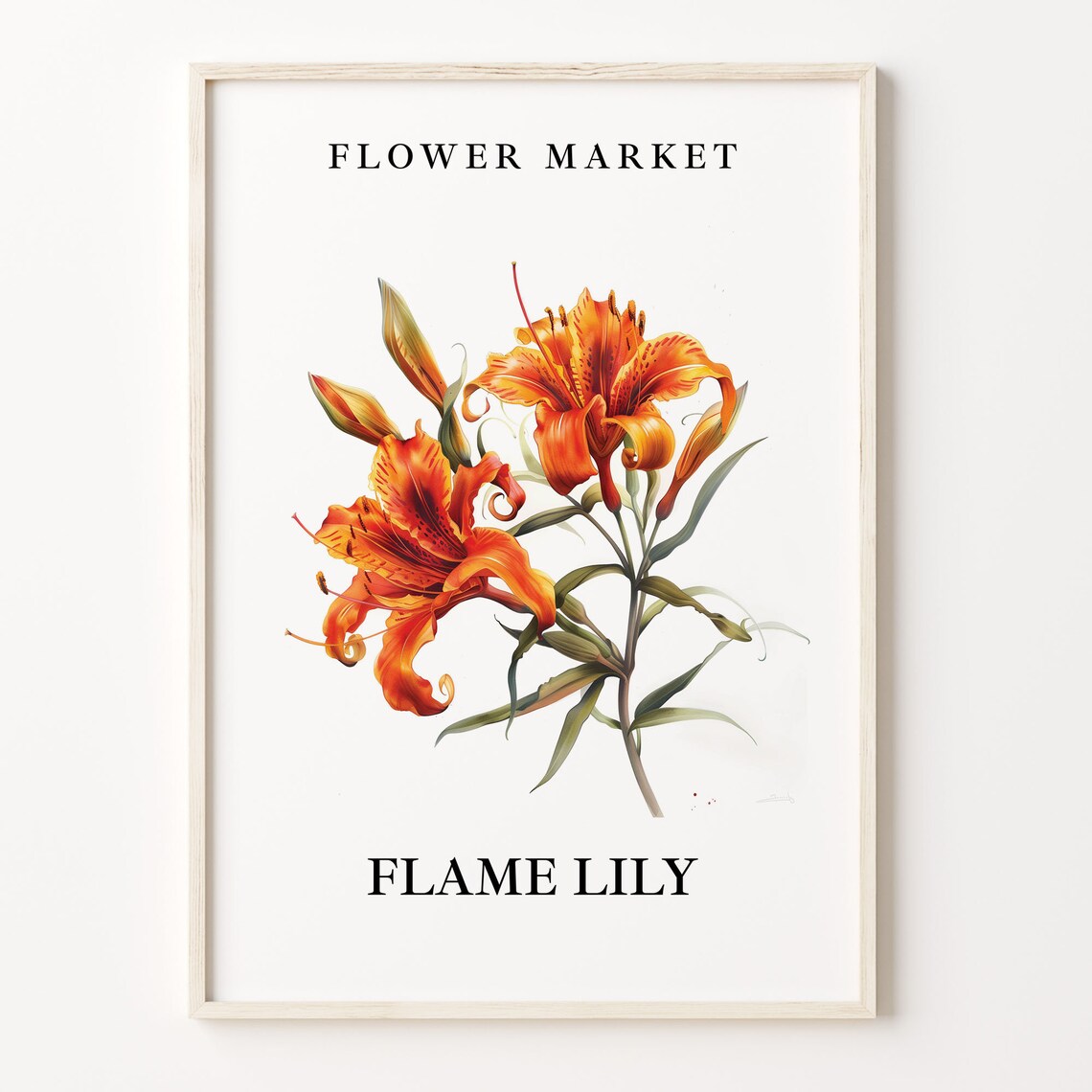 Flame Lily Botanical Market Art Print, Floral Decor
