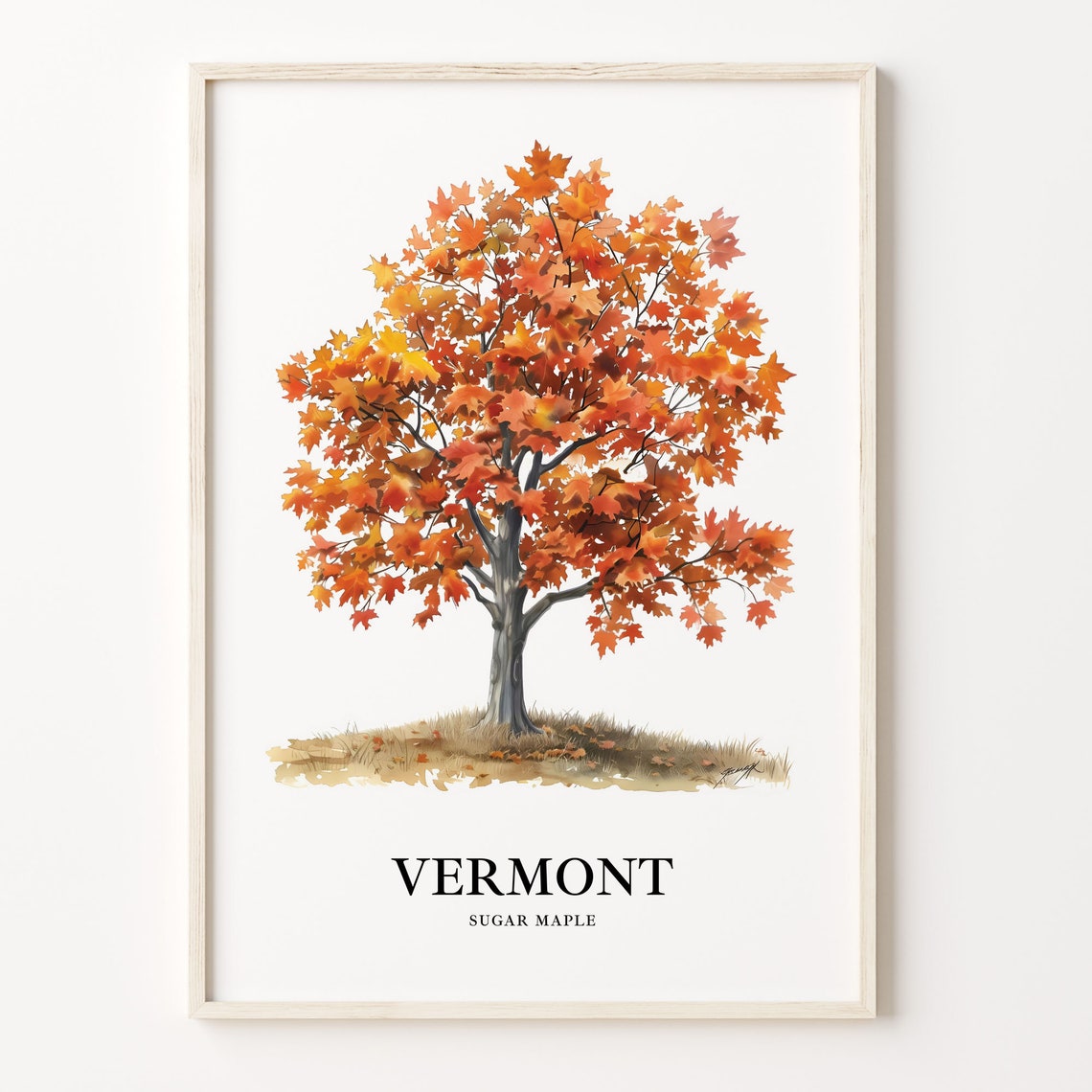 Vermont Sugar Maple State Tree Autumn Fall Foliage Art Poster