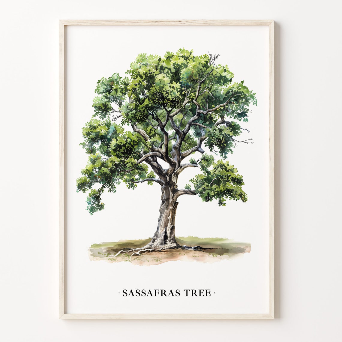 Sassafras Tree Watercolor Botanical Illustration Nature Art Poster
