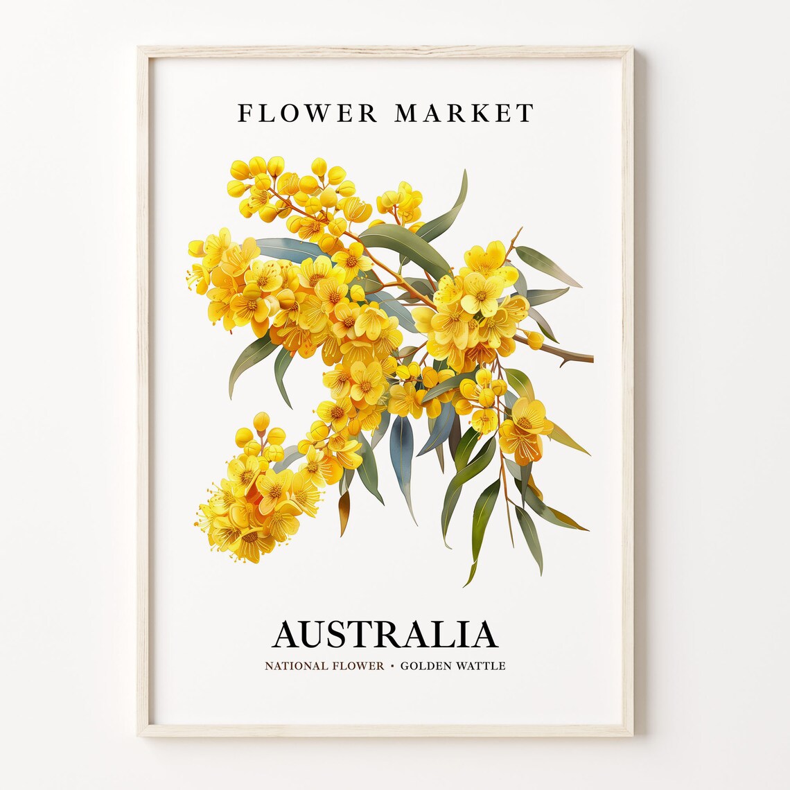 Golden Wattle Australia National Flower Art Print