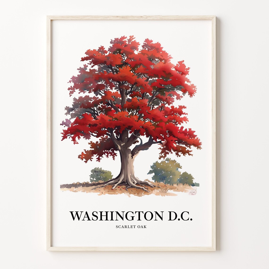 Blazing Washington DC Scarlet Oak Autumn Watercolor Tree Poster