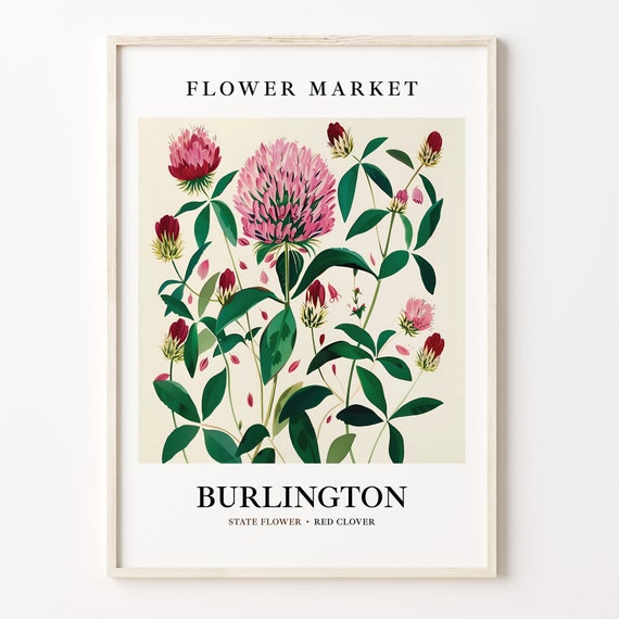 Burlington Vermont Wild Flower Market Art Print