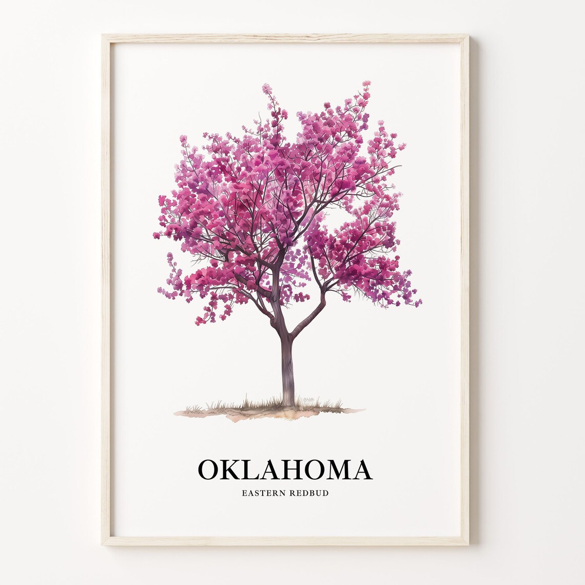 Eastern Redbud Tree Art Print, Oklahoma State Tree