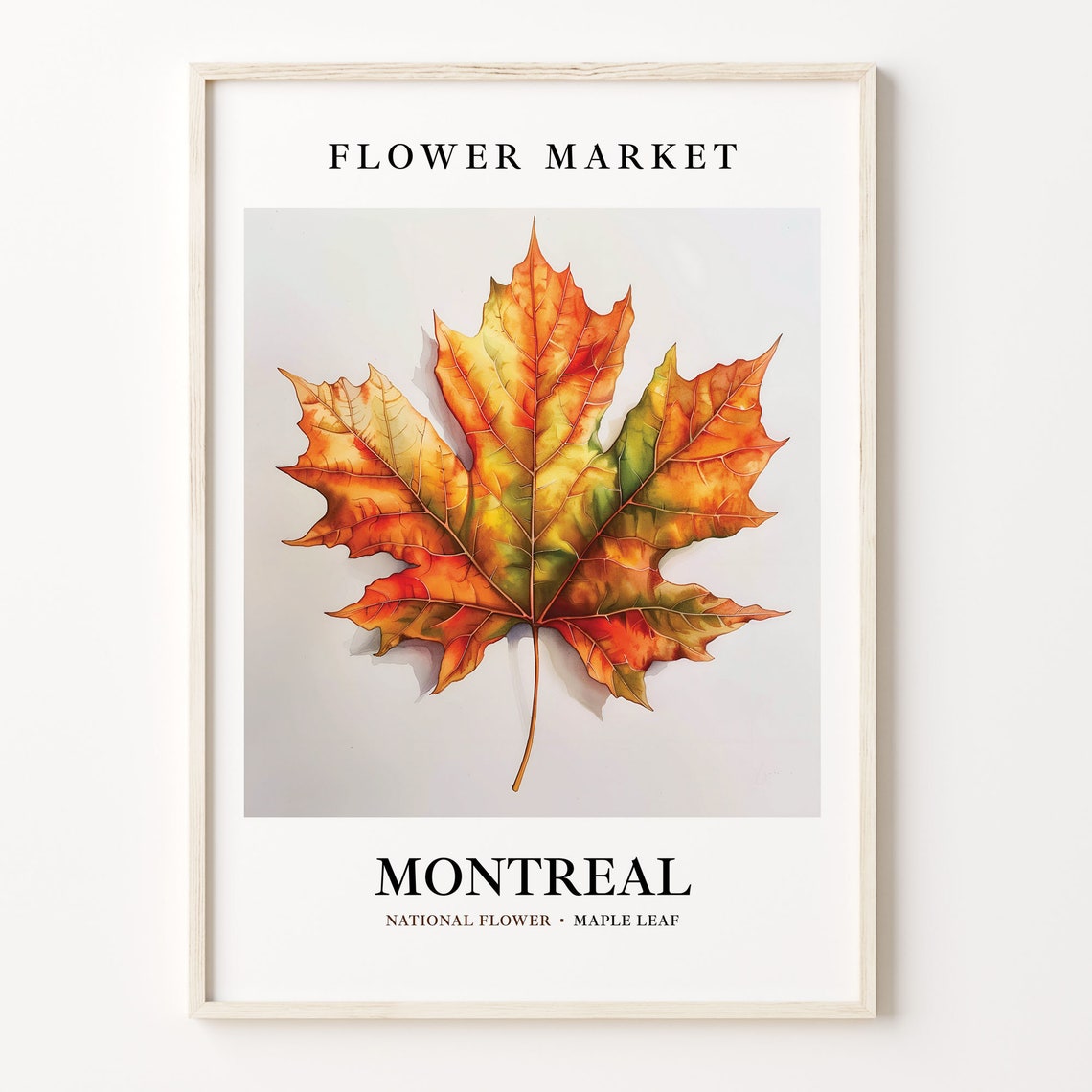 Montreal Maple Leaf National Flower Market Botanical Art Poster