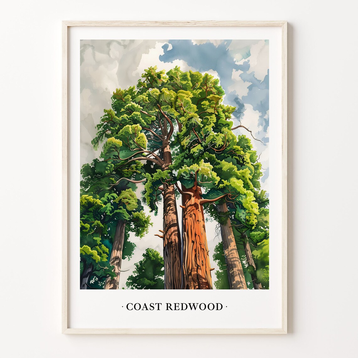 Coast Redwood Trees Watercolor Forest Landscape Nature Poster
