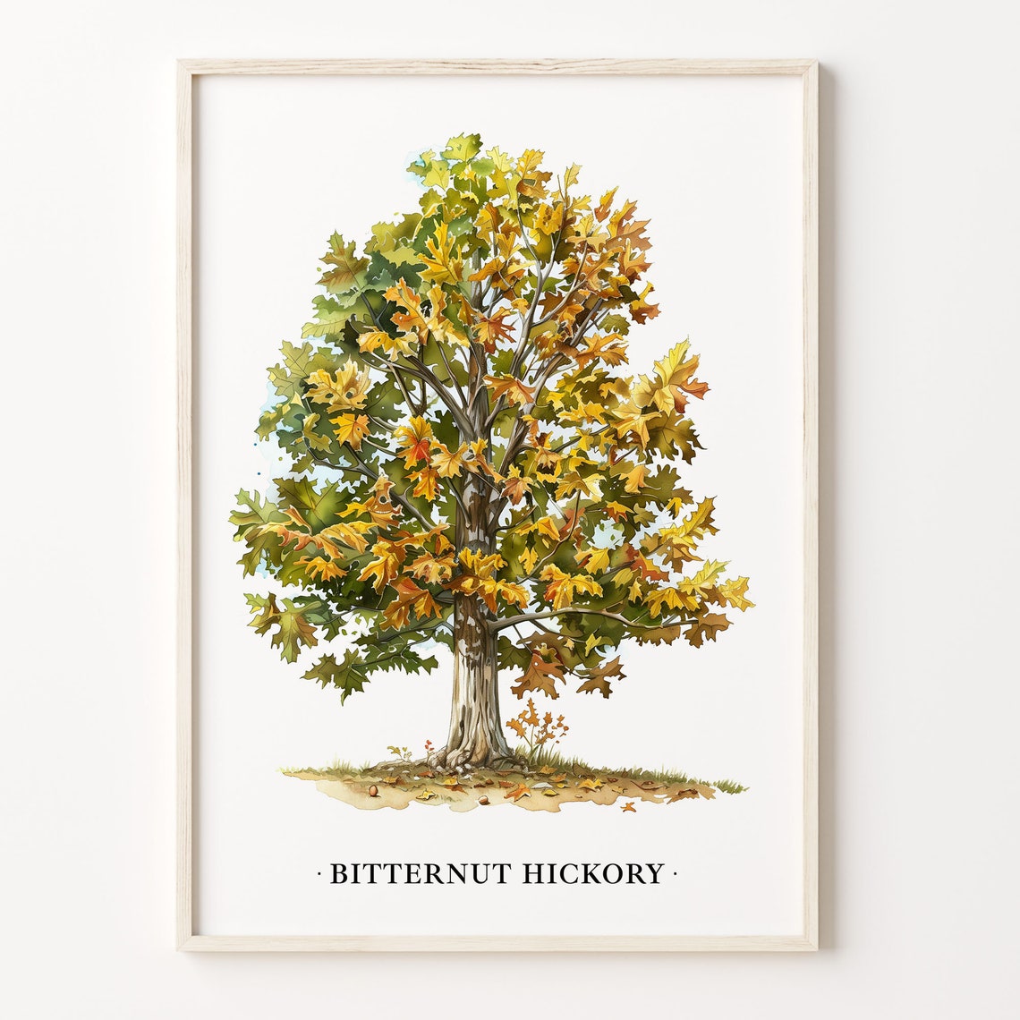 Bitternut Hickory Tree Autumn Watercolor Botanical Art Poster