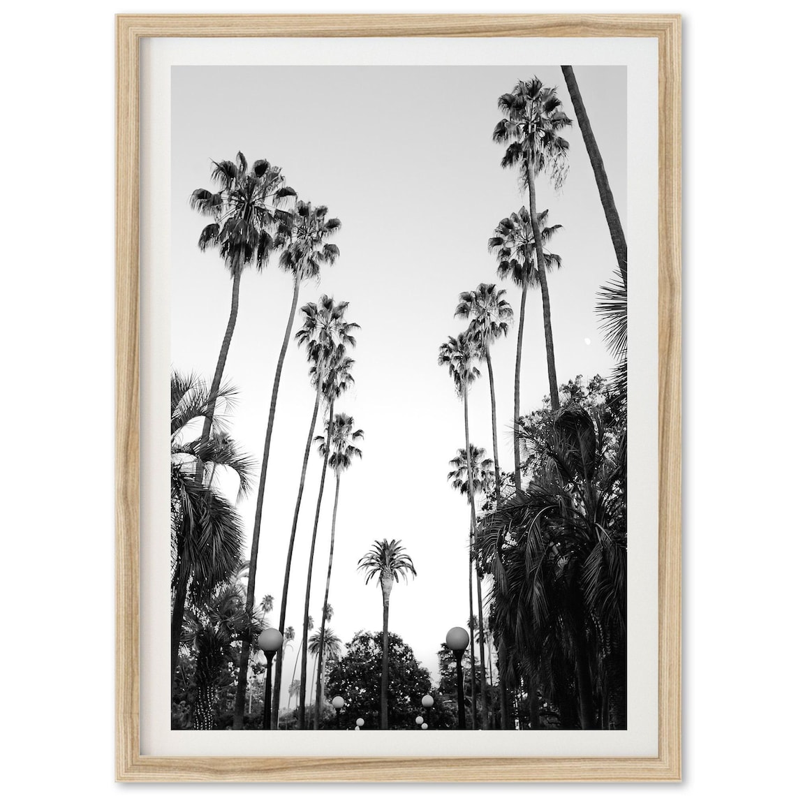 Beverly Hills Los Angeles Palm Trees Travel Poster