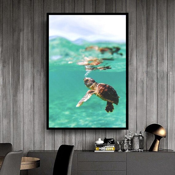 Turtle Print Nature Wall Art Tortoise Animal Tortoise Print Wall Art Nature Wall Decor