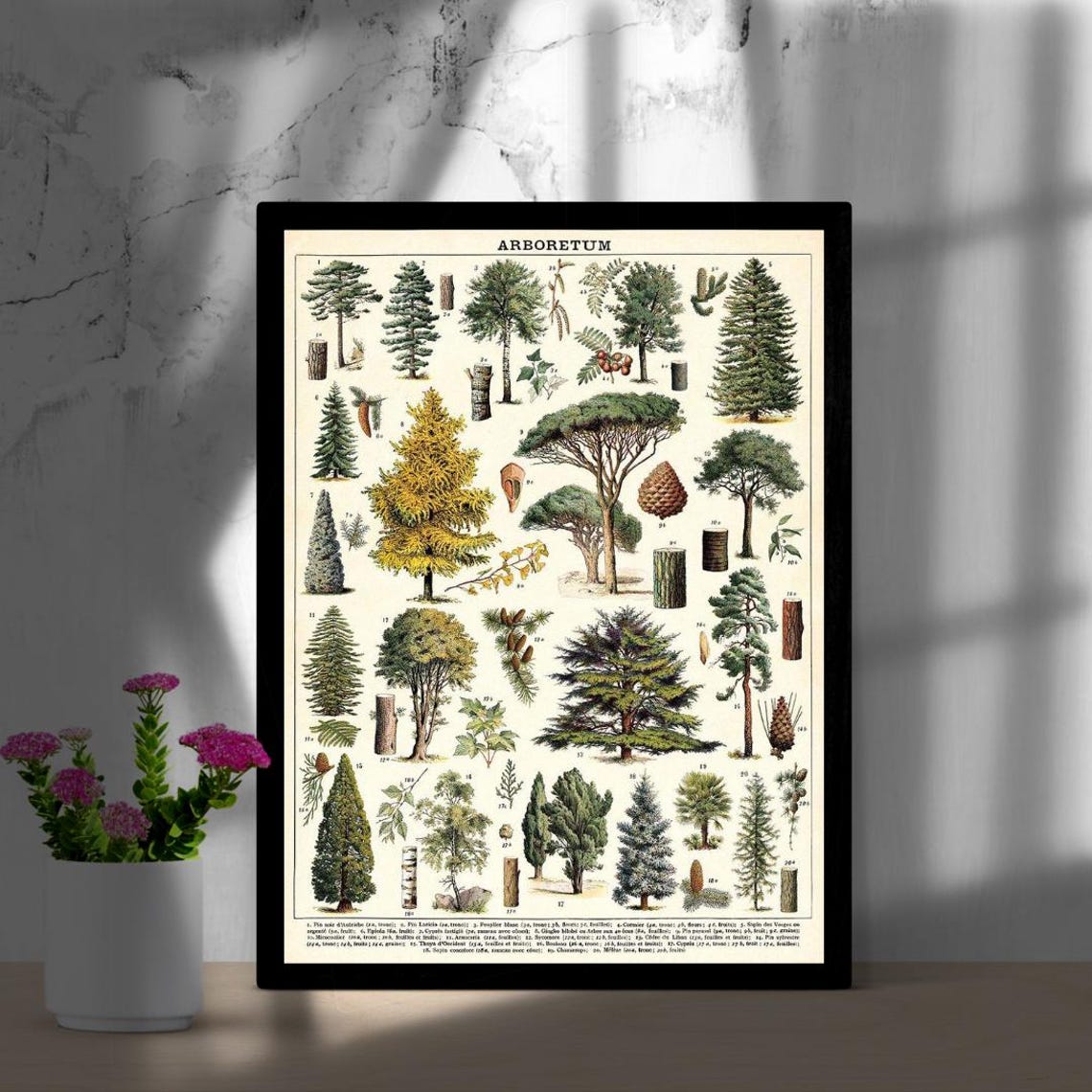 Tree Arboretum Art Decor Tree Arboretum Framed Art - Image 3