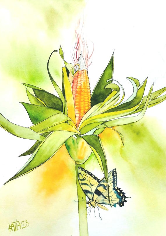 Vegetable Painting Yellow Corn From The Vegetable Garden With Its Butterfly Original Watercolor Still Life Wall Art Kitchen Decoration Handmade