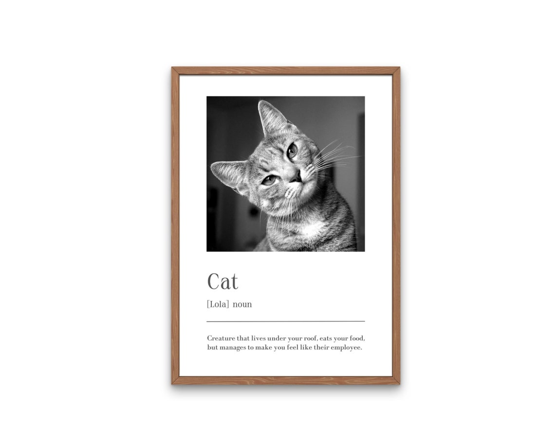 Cat Definition Mia Funny Personalised Pet Lovers Photo Print - Image 4