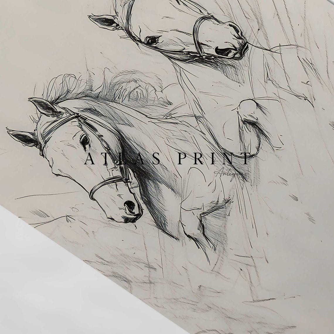 Two White Horses Sketch Minimalist Equine Pencil Drawing Wall Print - Image 4