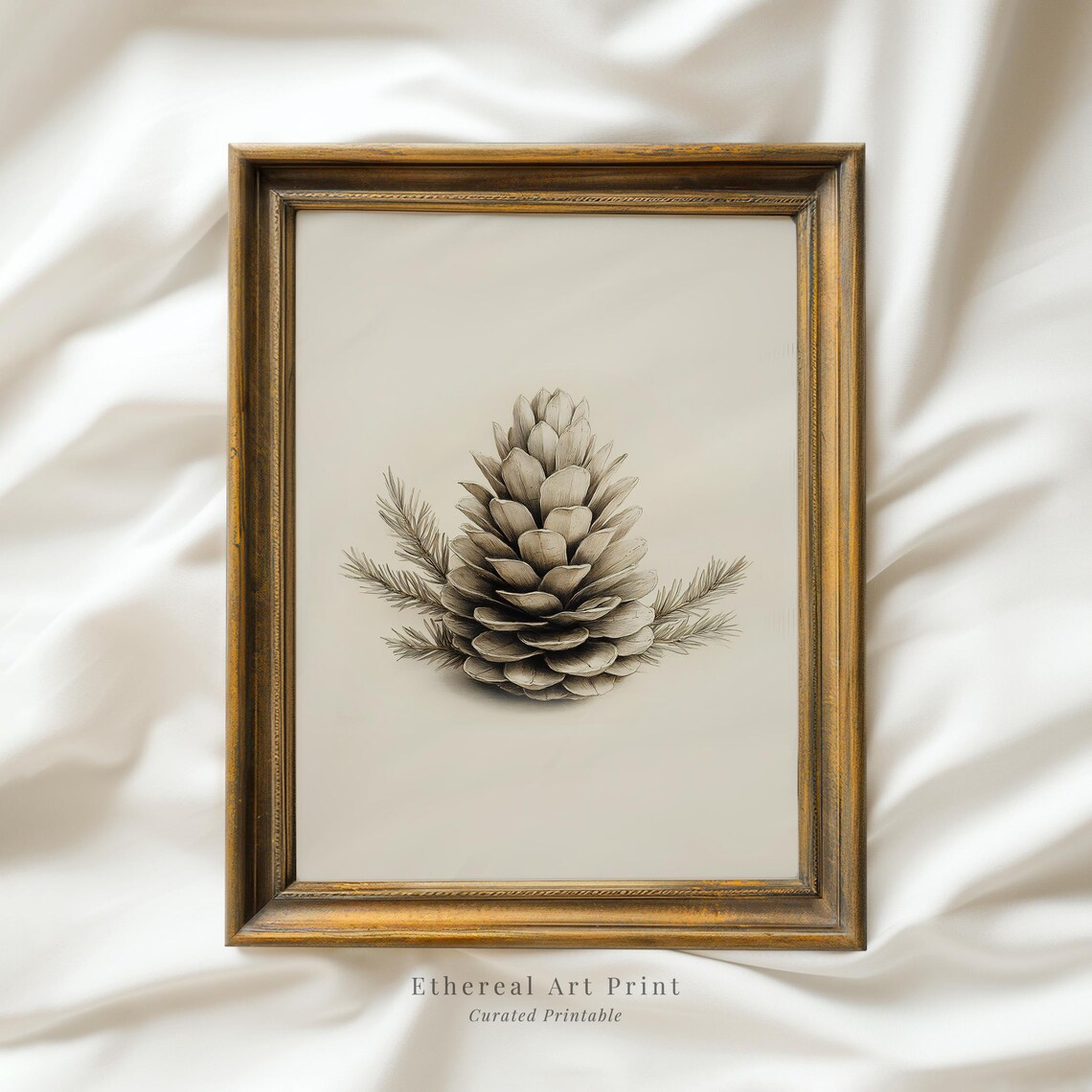 Pine Cone Pencil Sketch Vintage Botanical Winter Drawing Art Print