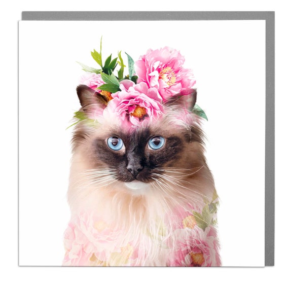 Cute Cat Art Print By Lola Design