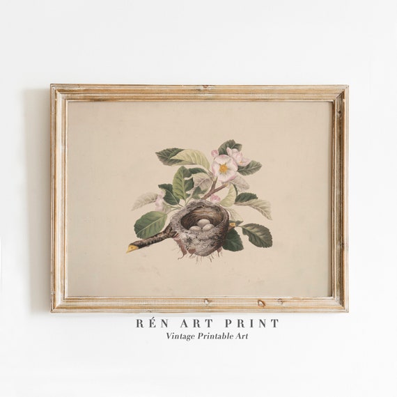 Vintage Birds Nest Illustration, Easter Art Print