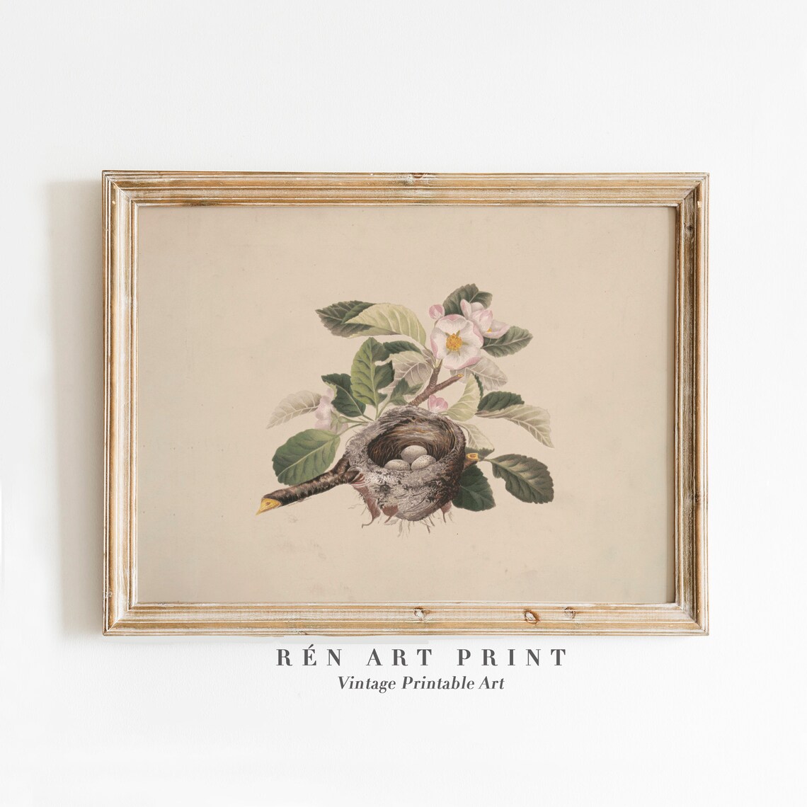 Vintage Birds Nest Illustration, Easter Art Print