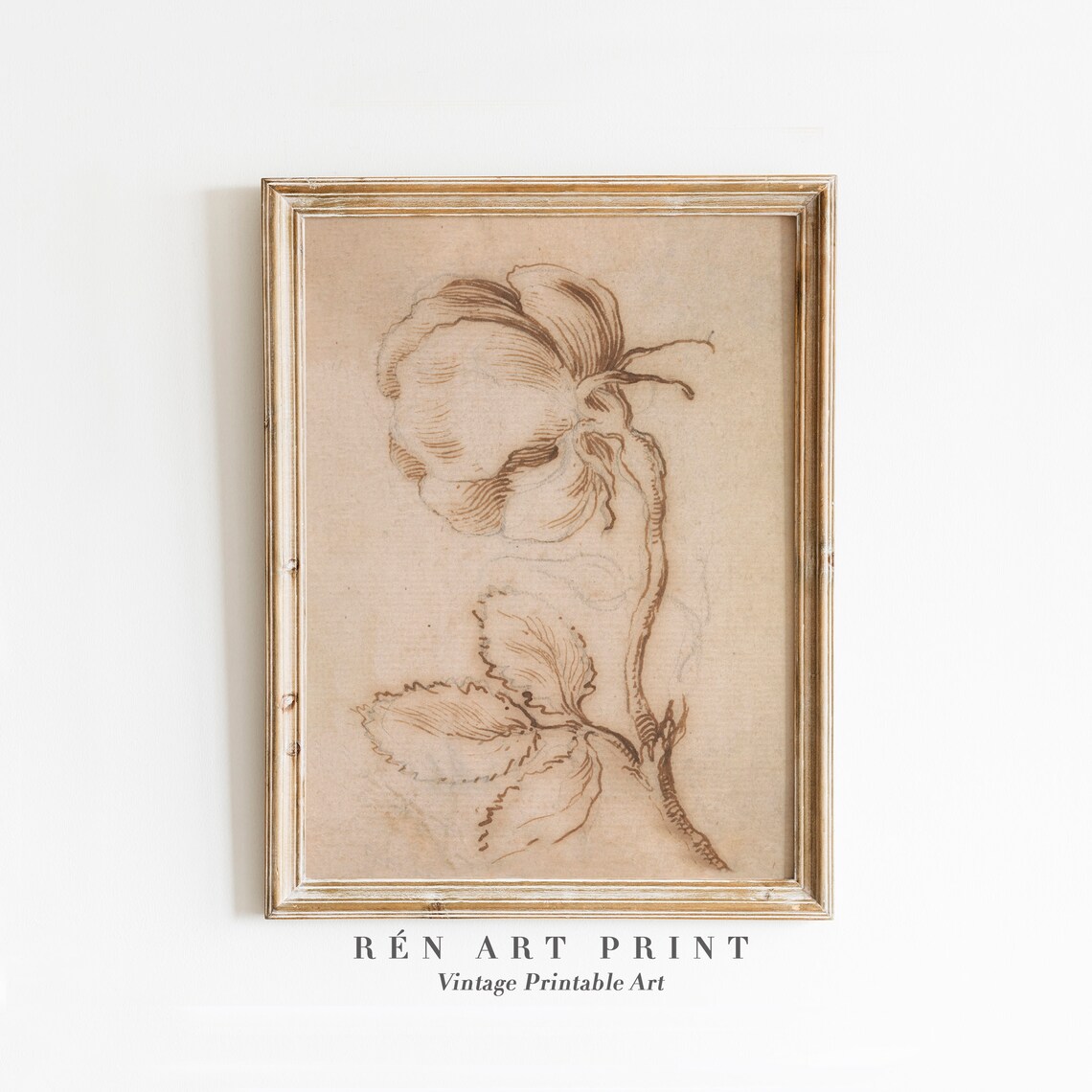 Antique Flower Sketch Art Print, Neutral Rose