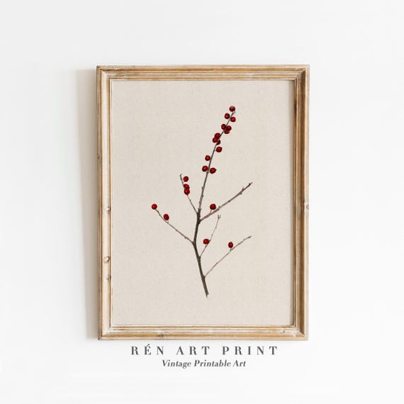 Antique Berry Branch Botanical Christmas Art Print