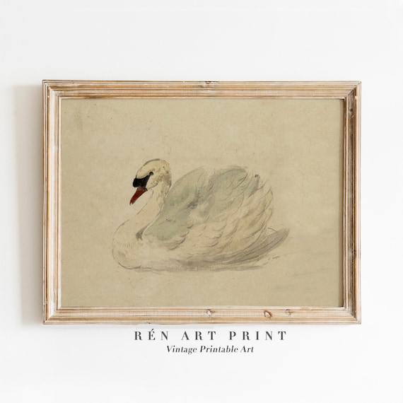 Vintage Swan Print, Antique Nursery Wall Decor