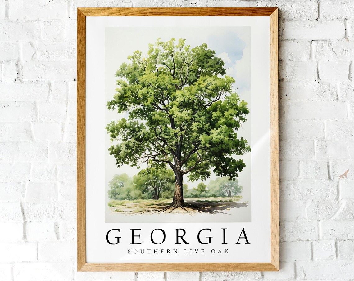 Southern Live Oak, Georgia State Tree Art Print