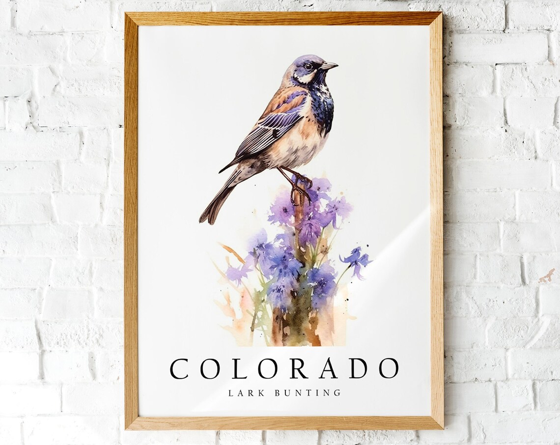 Colorado Lark Bunting Watercolor Bird with Wildflowers Art Poster