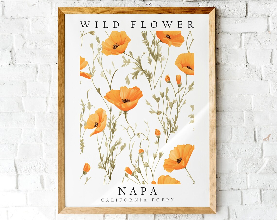 Napa Golden California Poppy Wild Flower Botanical Art Poster