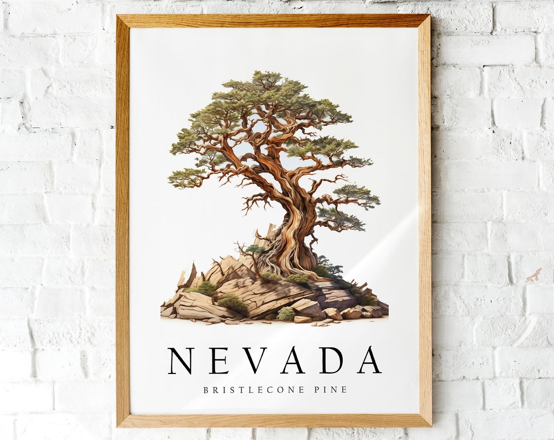 Nevada Bristlecone Pine Watercolor State Tree Botanical Wall Art