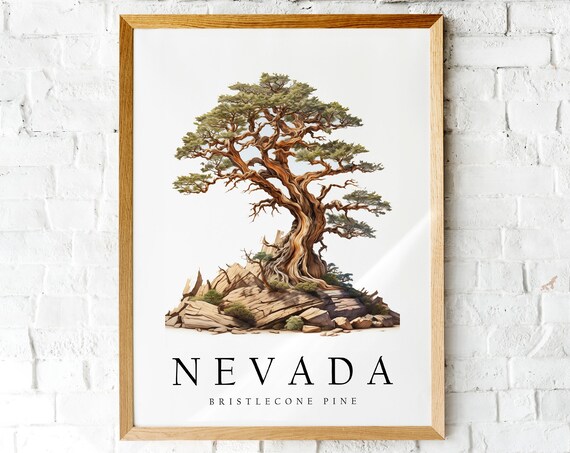 Nevada Bristlecone Pine Watercolor State Tree Botanical Wall Art