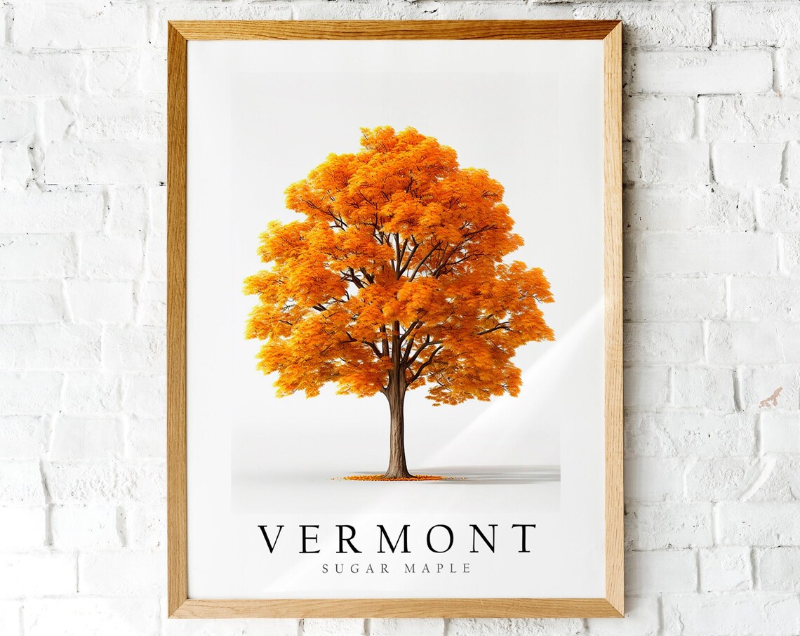Sugar Maple, The State Tree Of Vermont Art Print