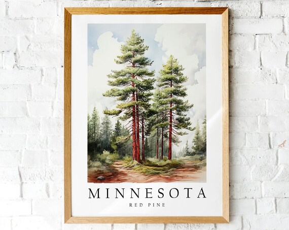 Minnesota Red Pine State Tree Scenic Watercolor Forest Poster