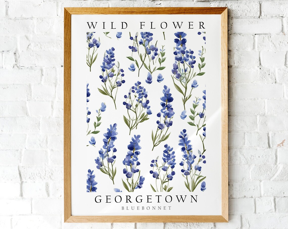 Bluebonnet Wildflower Georgetown Texas Botanical Watercolor Poster