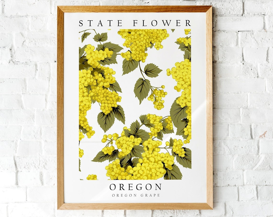 Oregon State Flower Oregon Grape Yellow Botanical Illustration Print