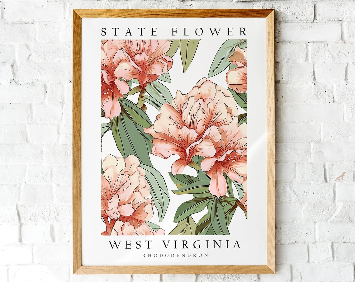 West Virginia State Flower Rhododendron Botanical Art Poster
