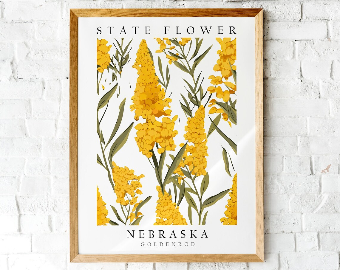 Nebraska Goldenrod State Flower Vibrant Botanical Art Poster