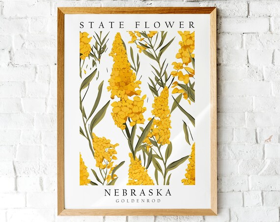 Nebraska Goldenrod State Flower Vibrant Botanical Art Poster