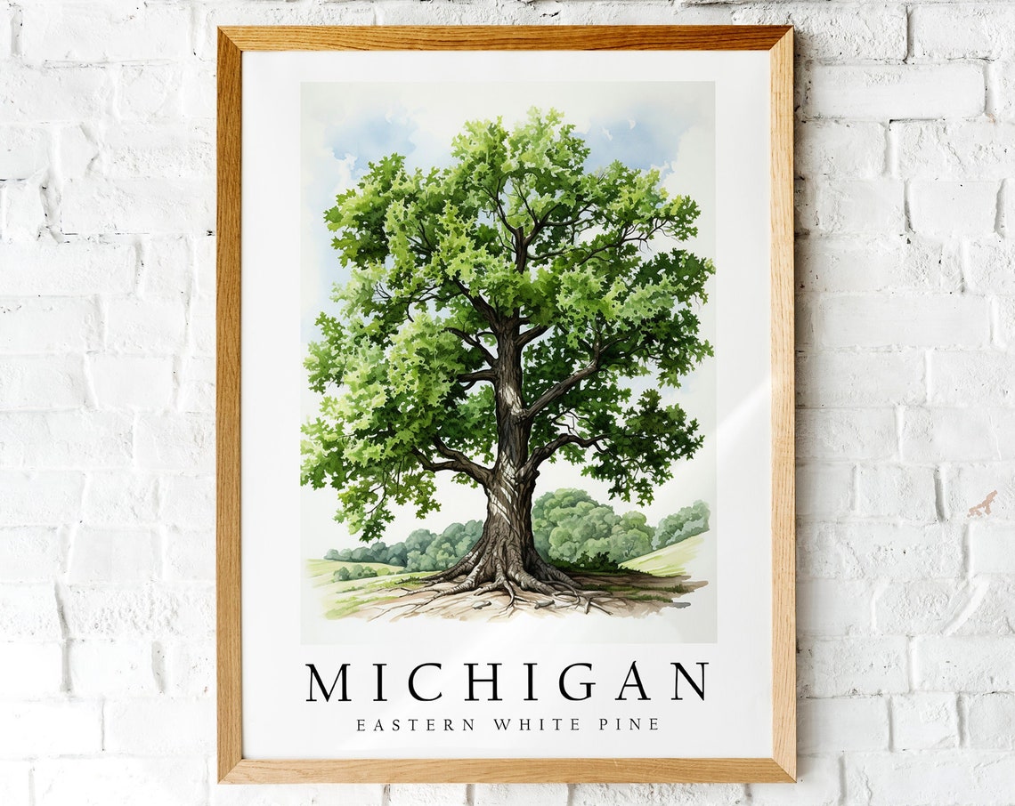 Michigan Eastern White Pine State Tree Botanical Illustration Poster
