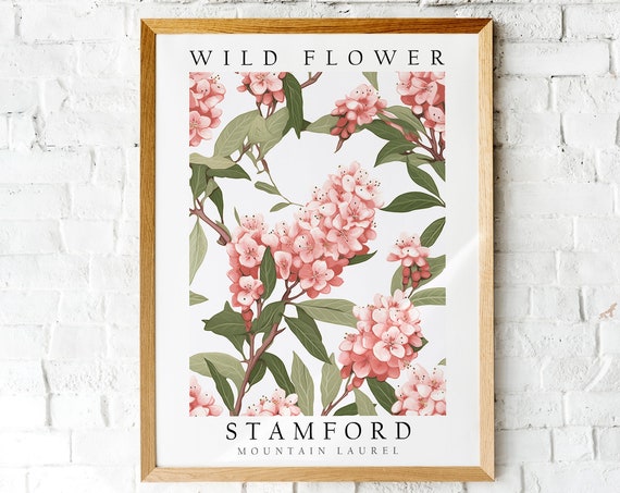 Mountain Laurel Wild Flower of Stamford Art Print