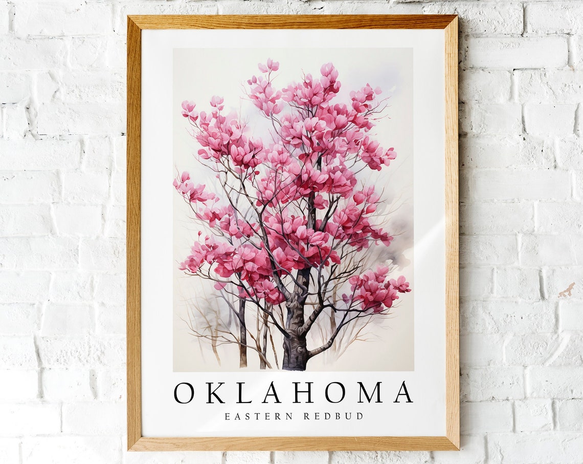 Oklahoma Eastern Redbud Blossoming State Tree Watercolor Art Poster