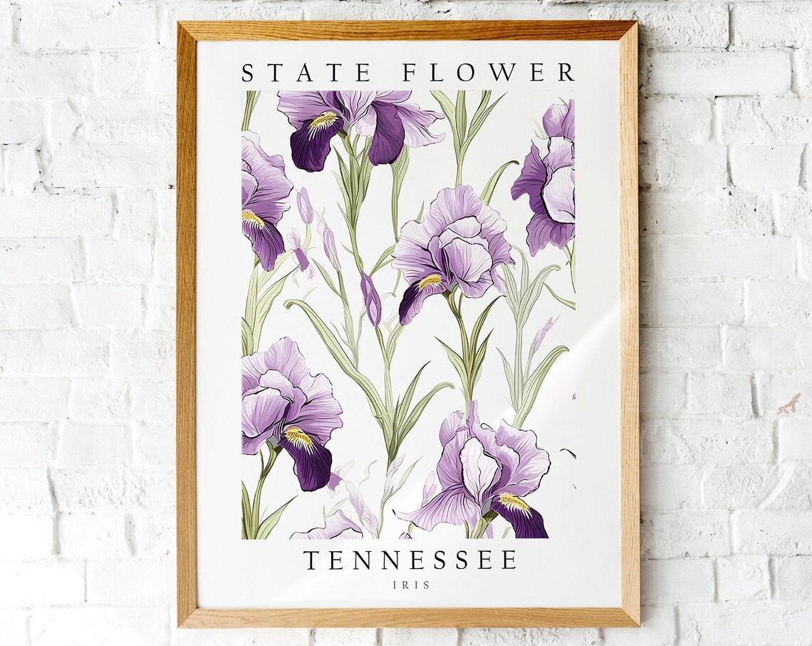 Tennessee State Flower Purple Iris Botanical Watercolor Art Poster