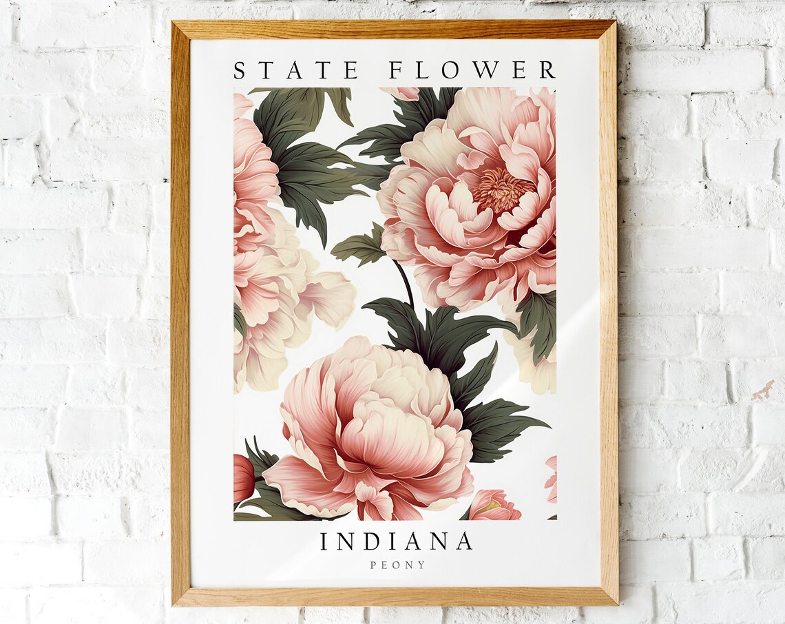 Indiana Peony State Flower Vintage Botanical Floral Wall Print