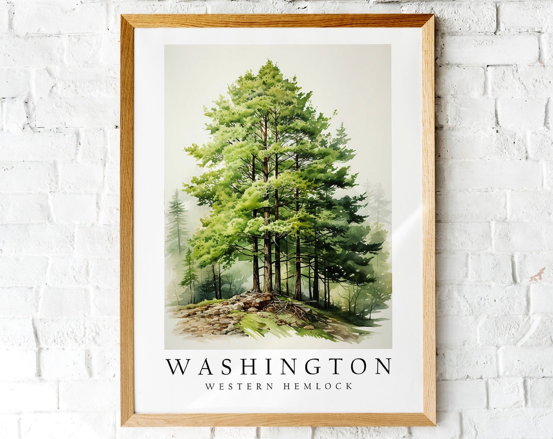 Washington Western Hemlock State Tree Forest Watercolor Poster