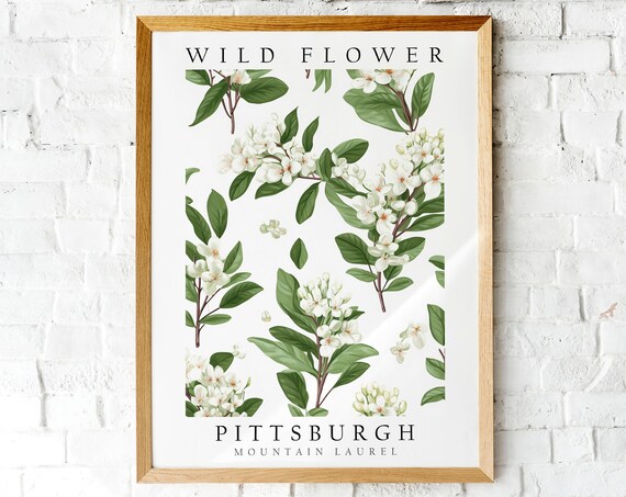 Pittsburgh Mountain Laurel White Wildflower Botanical Art Poster