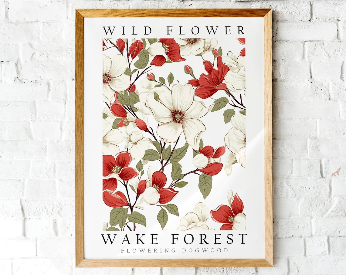 Flowering Dogwood of Wake Forest Wild Flower Botanical Poster