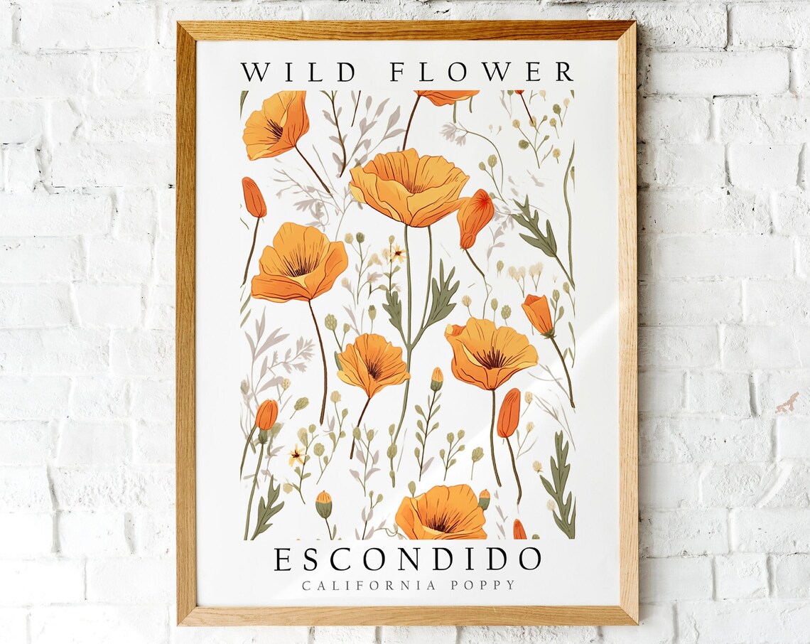Escondido California Poppy Wild Flower Vintage Botanical Poster